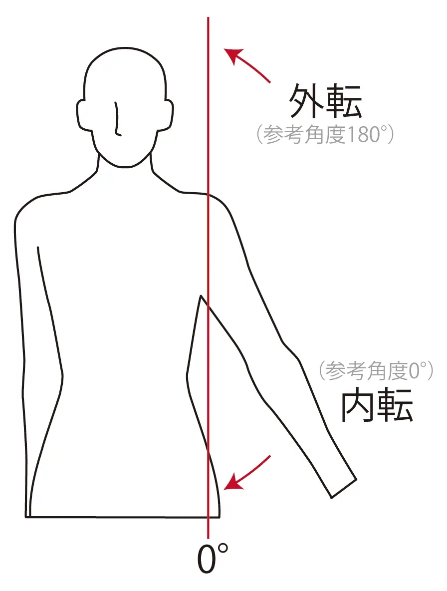 shoulder middle